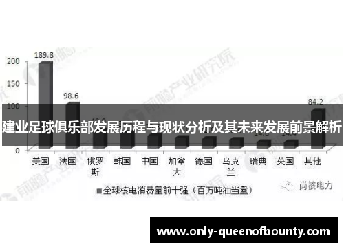 建业足球俱乐部发展历程与现状分析及其未来发展前景解析