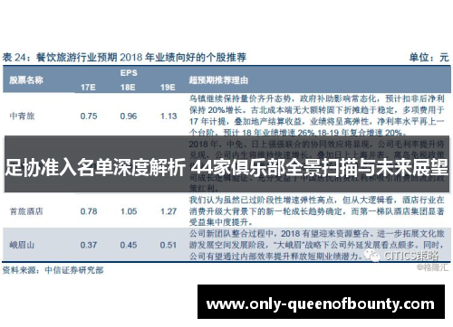 足协准入名单深度解析 44家俱乐部全景扫描与未来展望