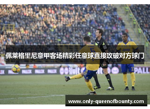 佩莱格里尼意甲客场精彩任意球直接攻破对方球门